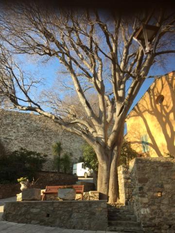 Logement Neuf Centre Du Village Aux Pieds Du Chateau Grimaud Zewnętrze zdjęcie